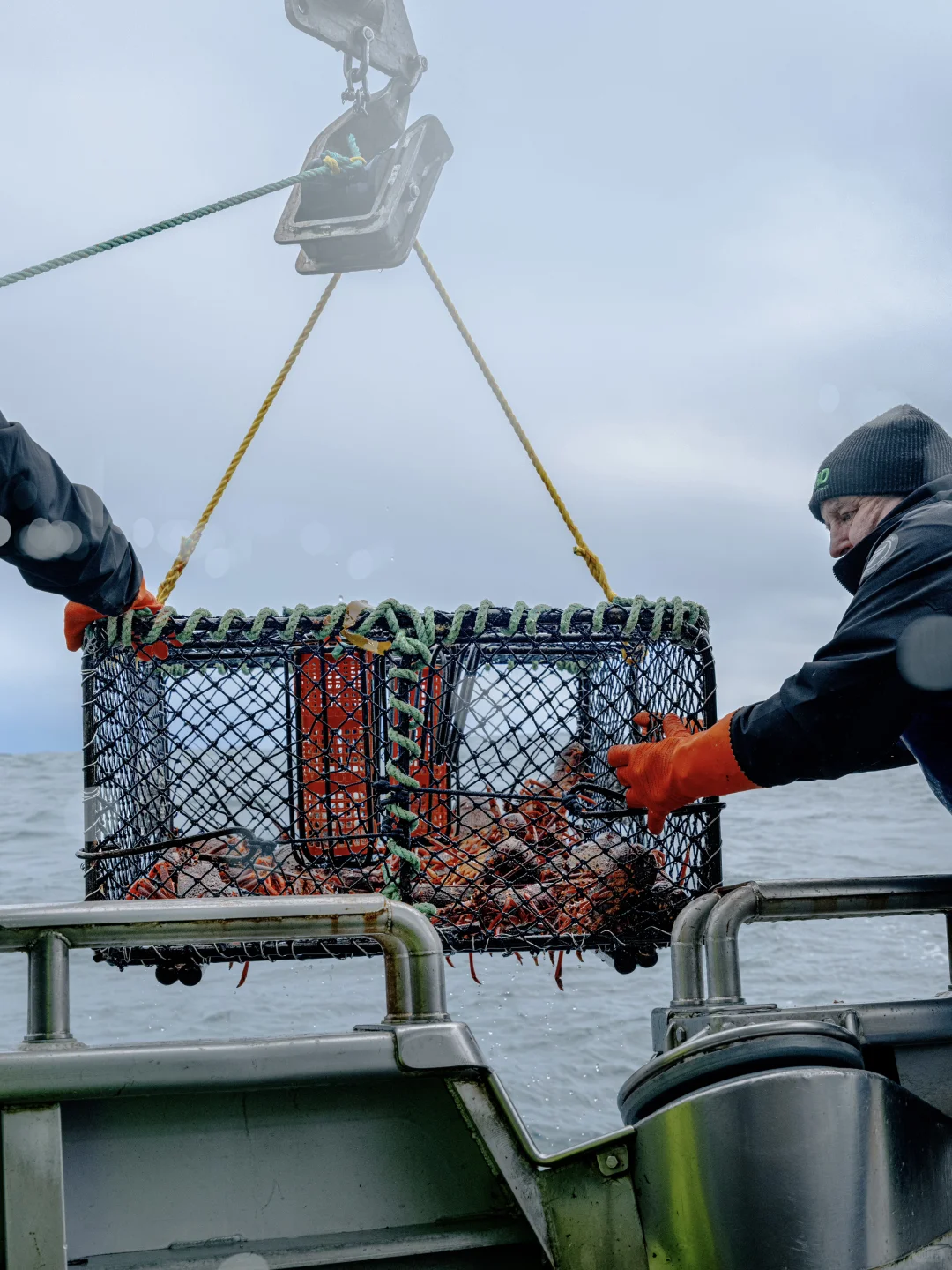 运输流程新升级?完成清关手续只需3小时？