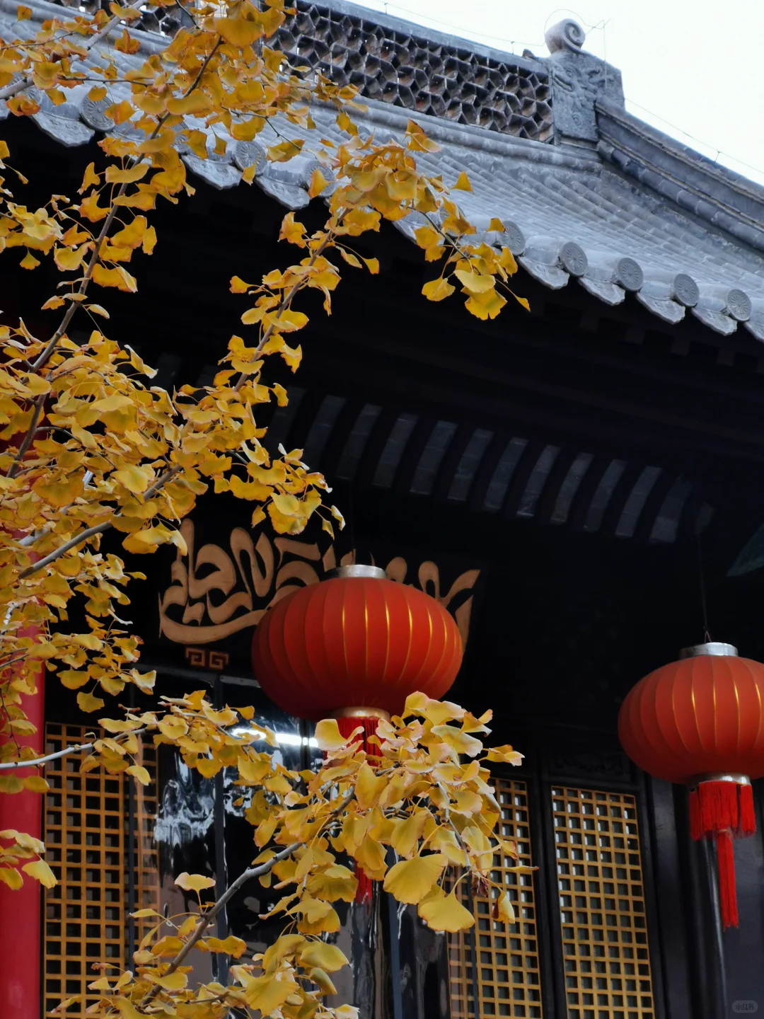 活动预告｜周六一起，看两千年的六（Lù）合