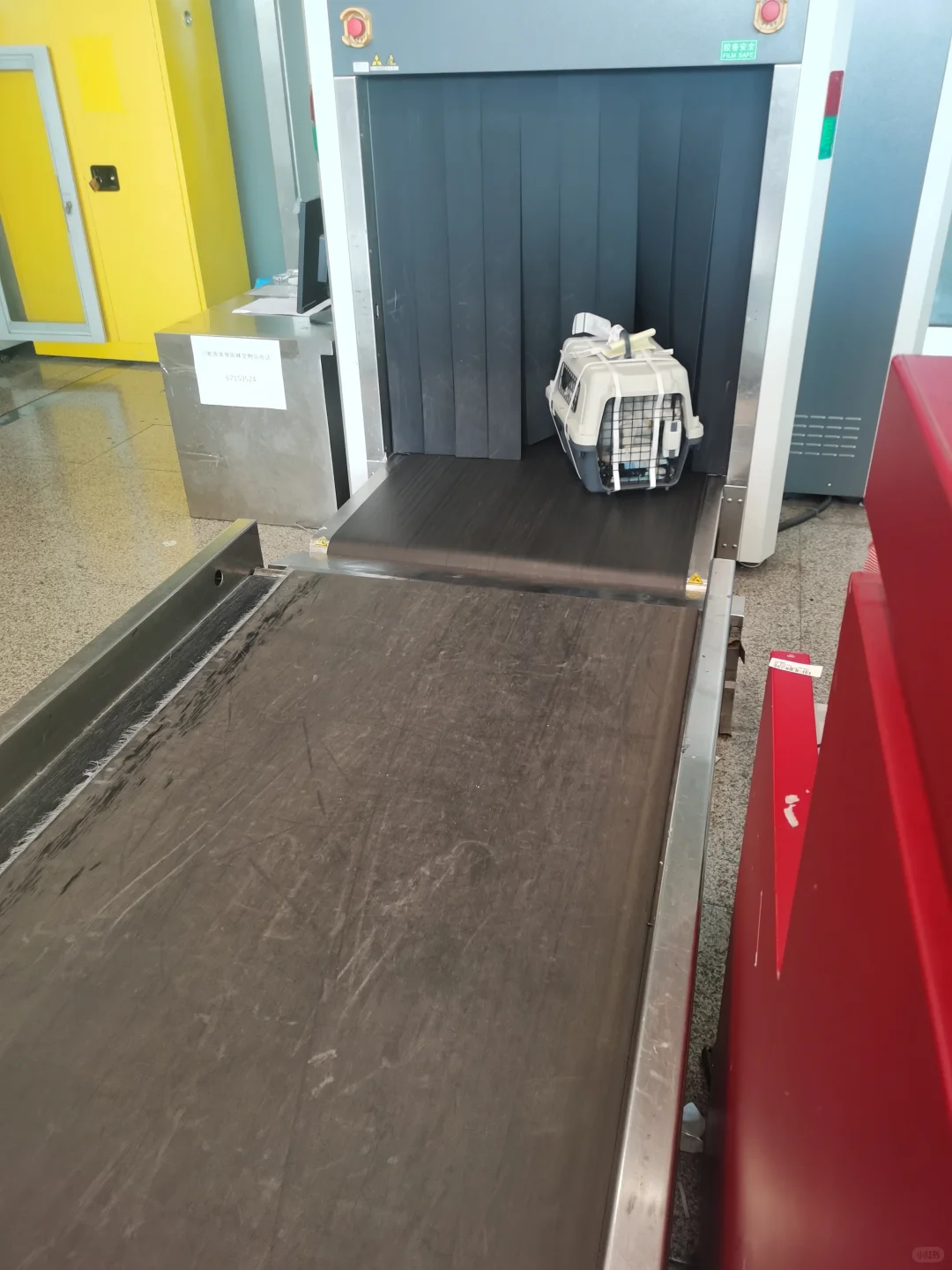 猫猫1500公里跨越保姆级攻略来咯！（1）