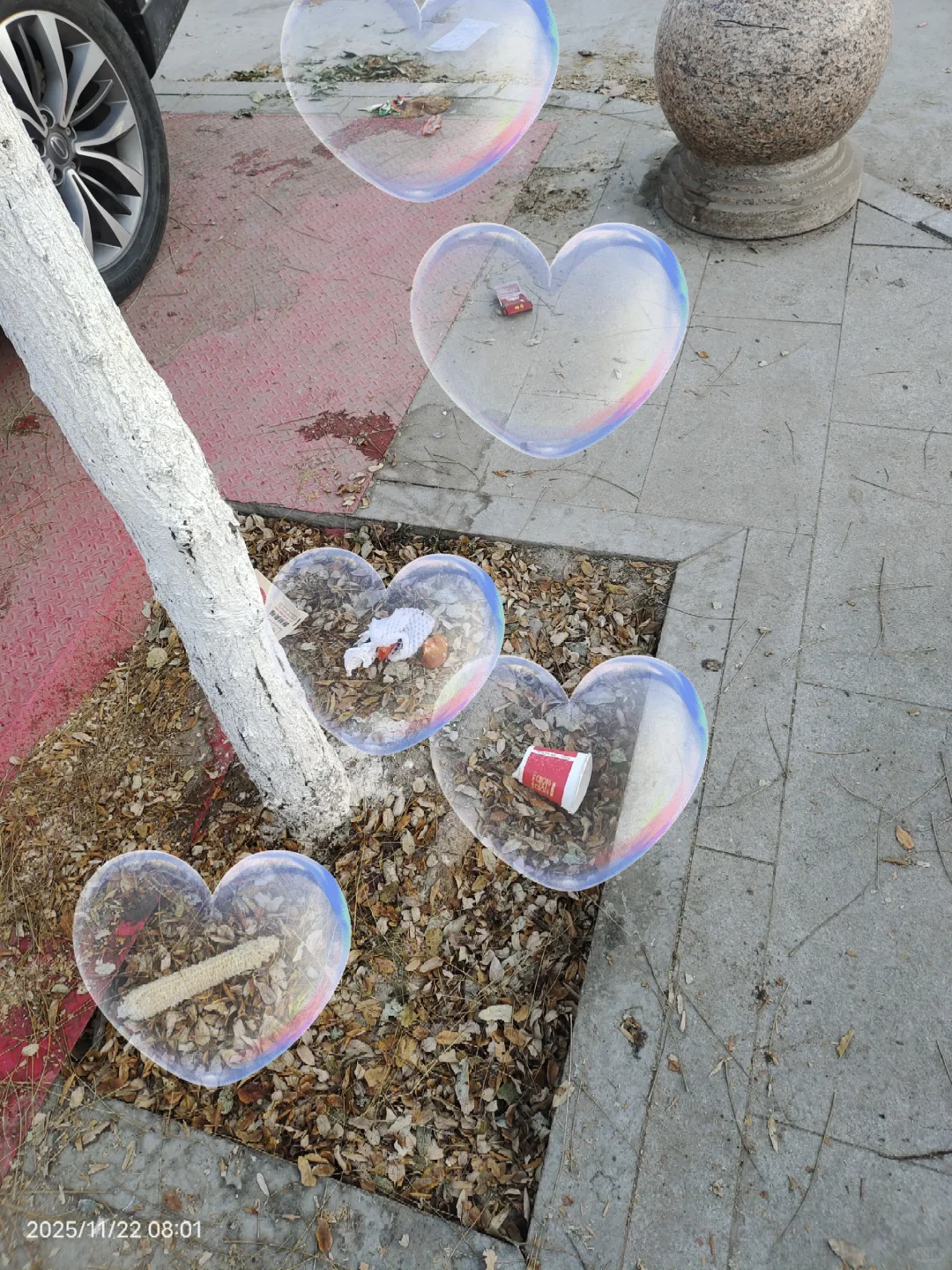 2025.11.22捡垃圾?