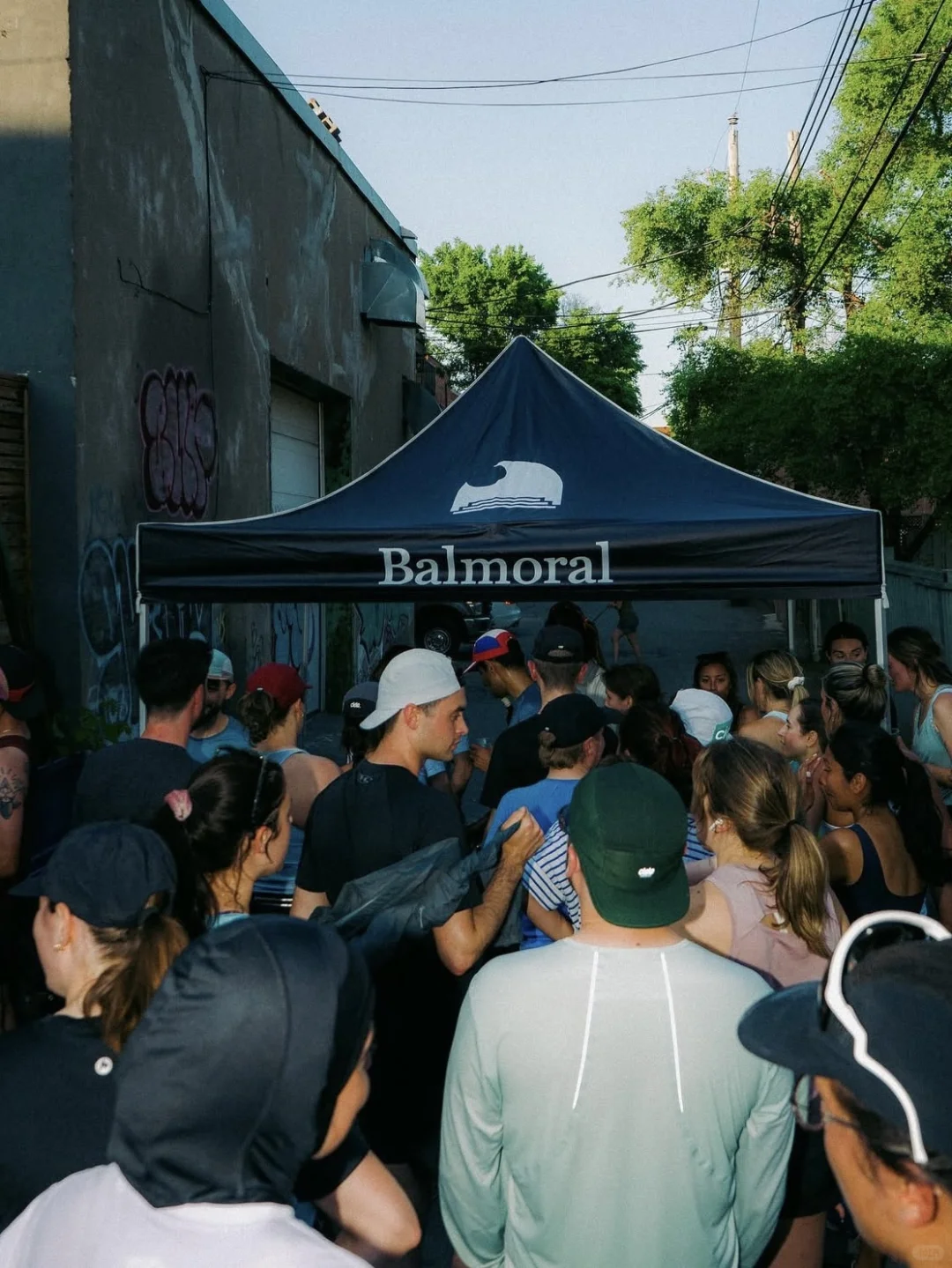 品牌入驻｜Balmoral