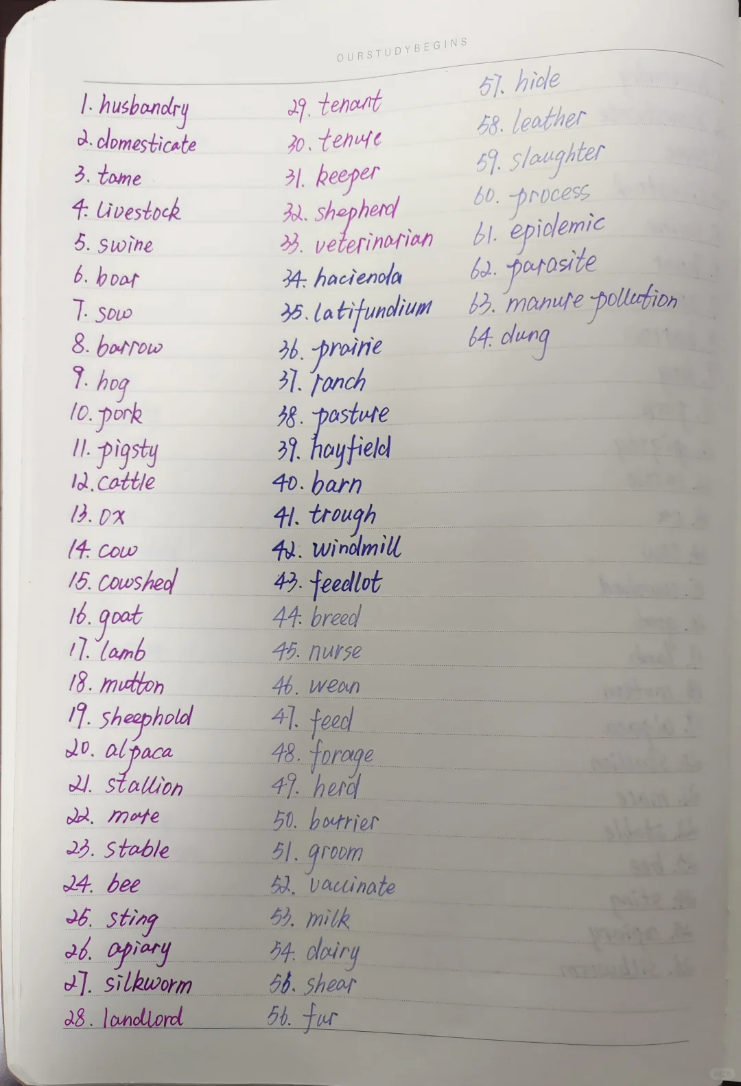 Day11||这么多单词，你不会只认识五个吧