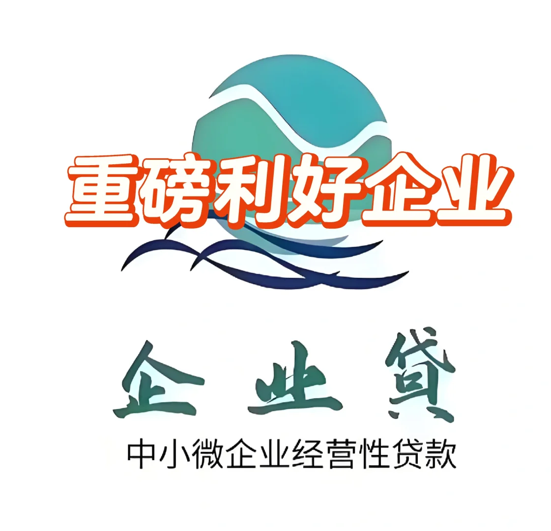 支持民营企业的融资政策