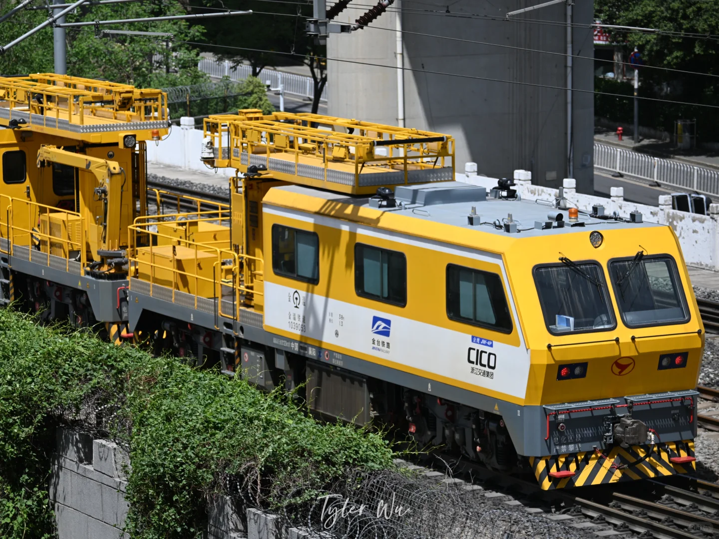 金鹰常有，金温金鹰不常有