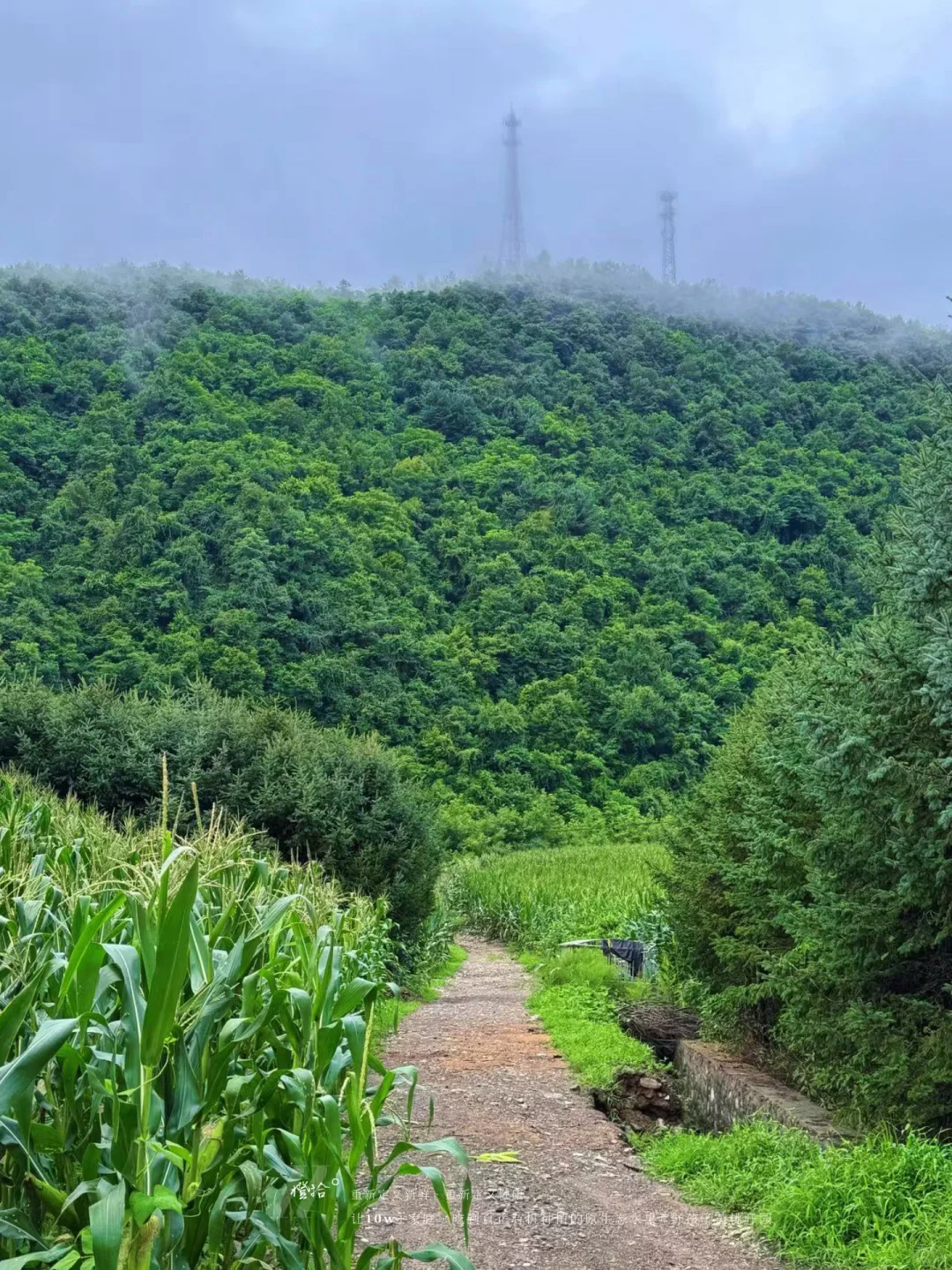 新农人必看！?表演?压力轻松YIN流