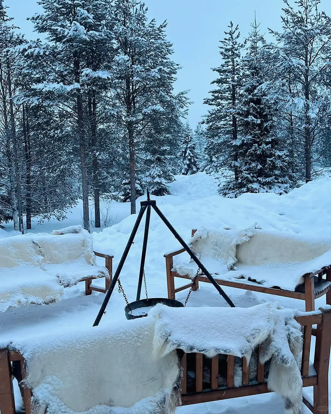 北欧追光：帝王蟹+玻璃屋，一价全含！