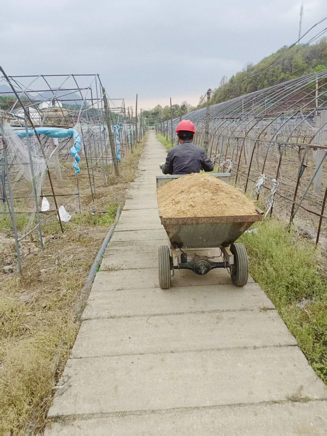 别被网红农场骗了真实的农场创业是这样的