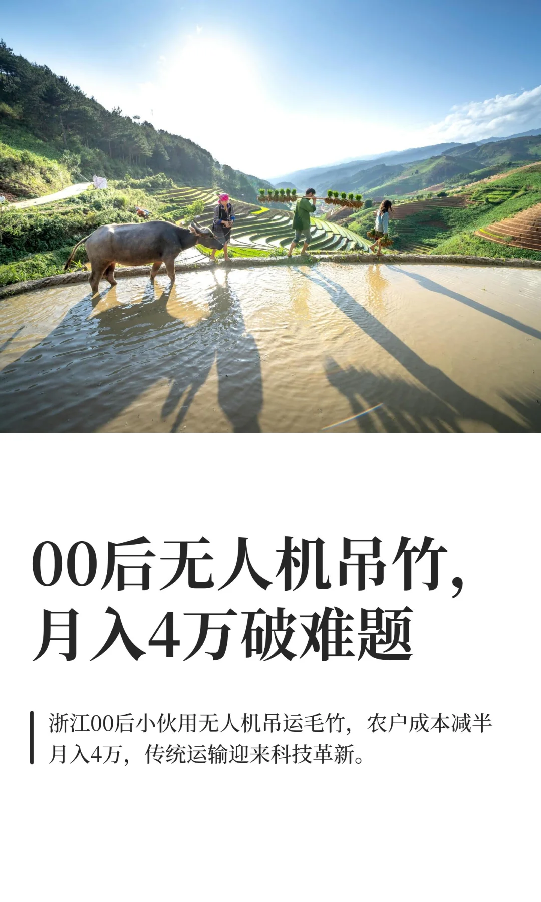 00后无人机吊竹，月入4万破难题