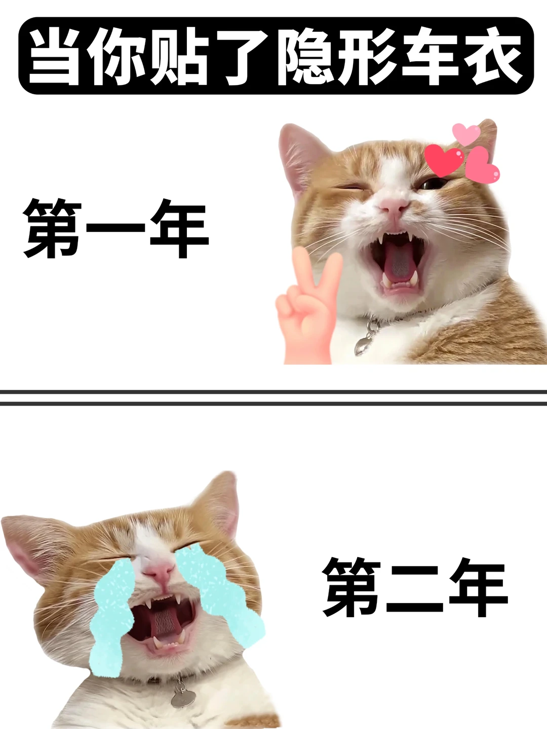 关于贴车衣&玻璃膜！3次翻车后总结的真心话