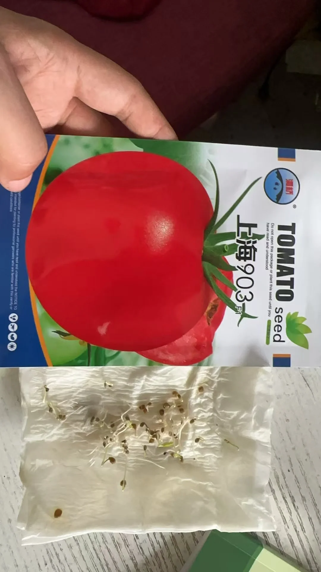 做种子行业，最悲哀的事情还是来了！