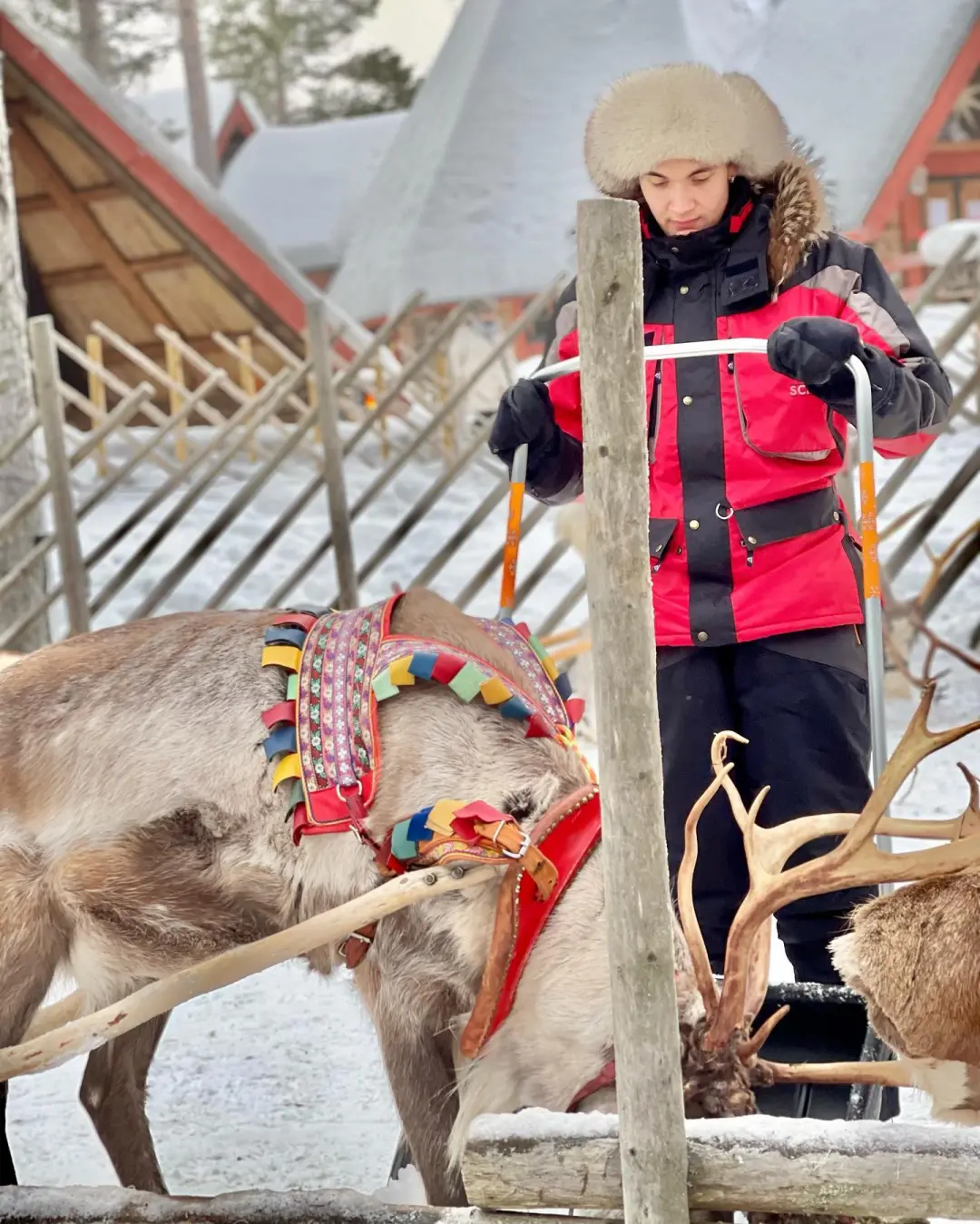 北欧追光：帝王蟹+玻璃屋，一价全含！