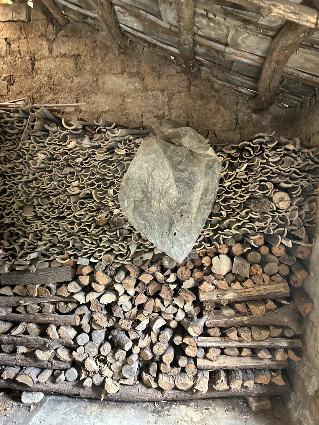 已拿下，来个室友