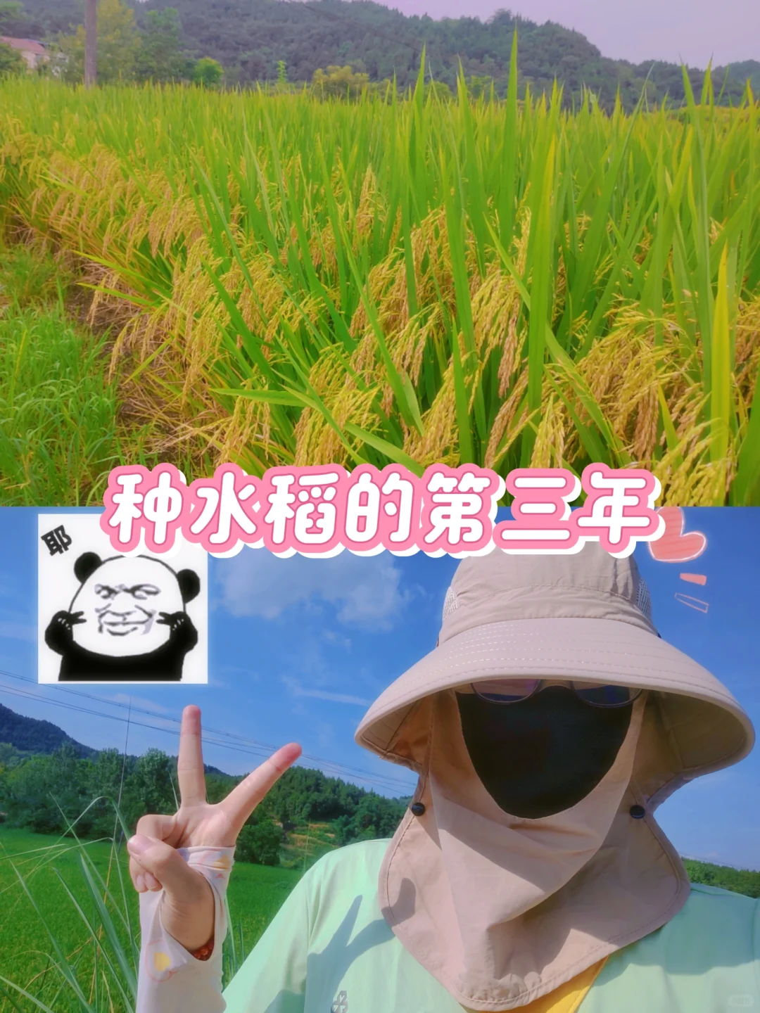 谁说年轻人不会种地