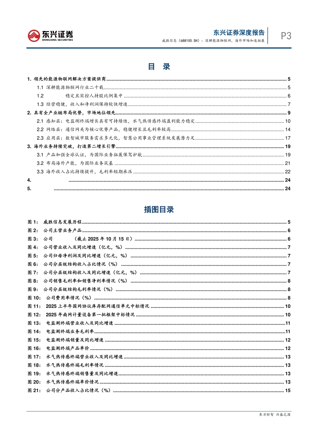威胜信息-深耕能源物联网海外加速拓展