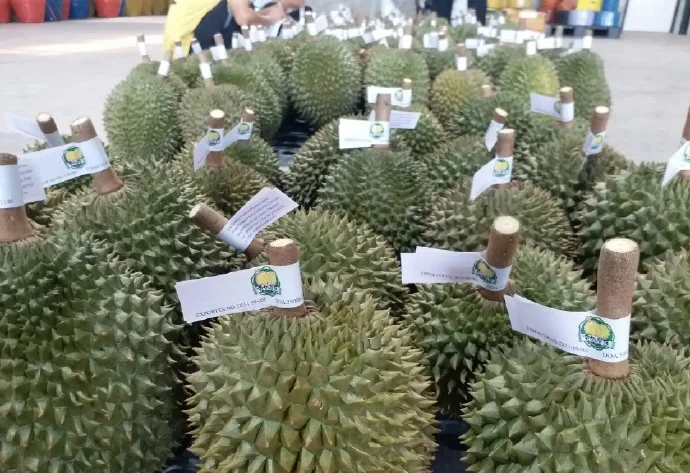 泰国对华出口贸易