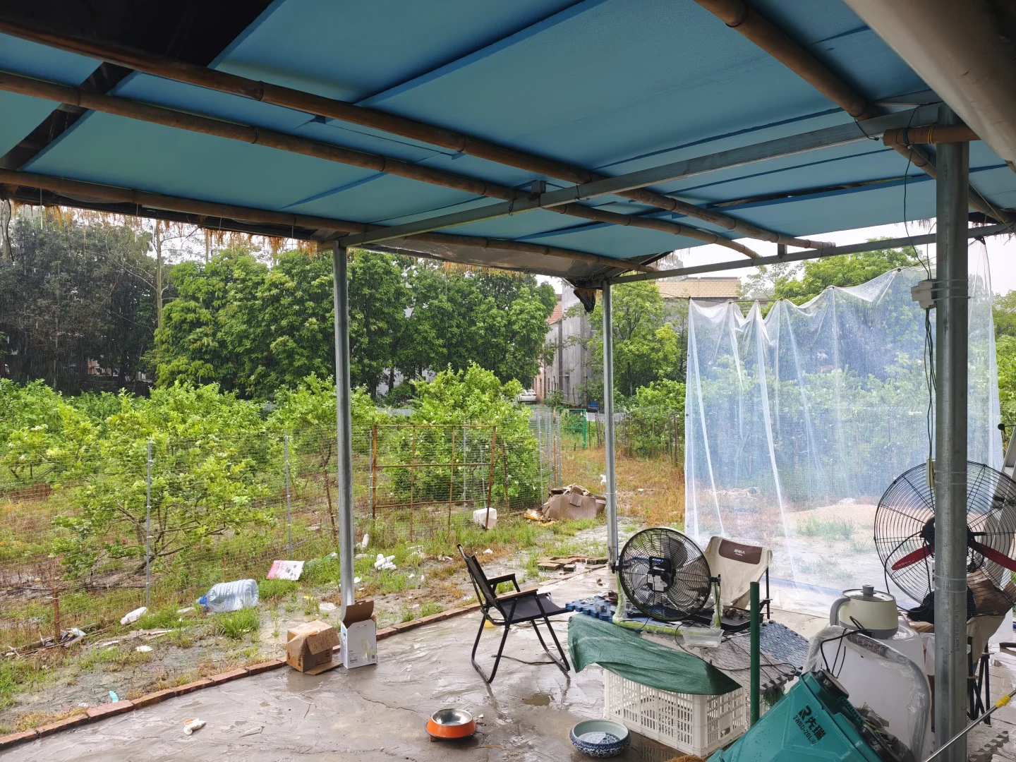 果园出租 农庄转让 着急拆伙出手