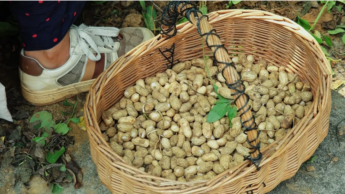 一个人玩十亩农场，累的还剩半条命，明年还种