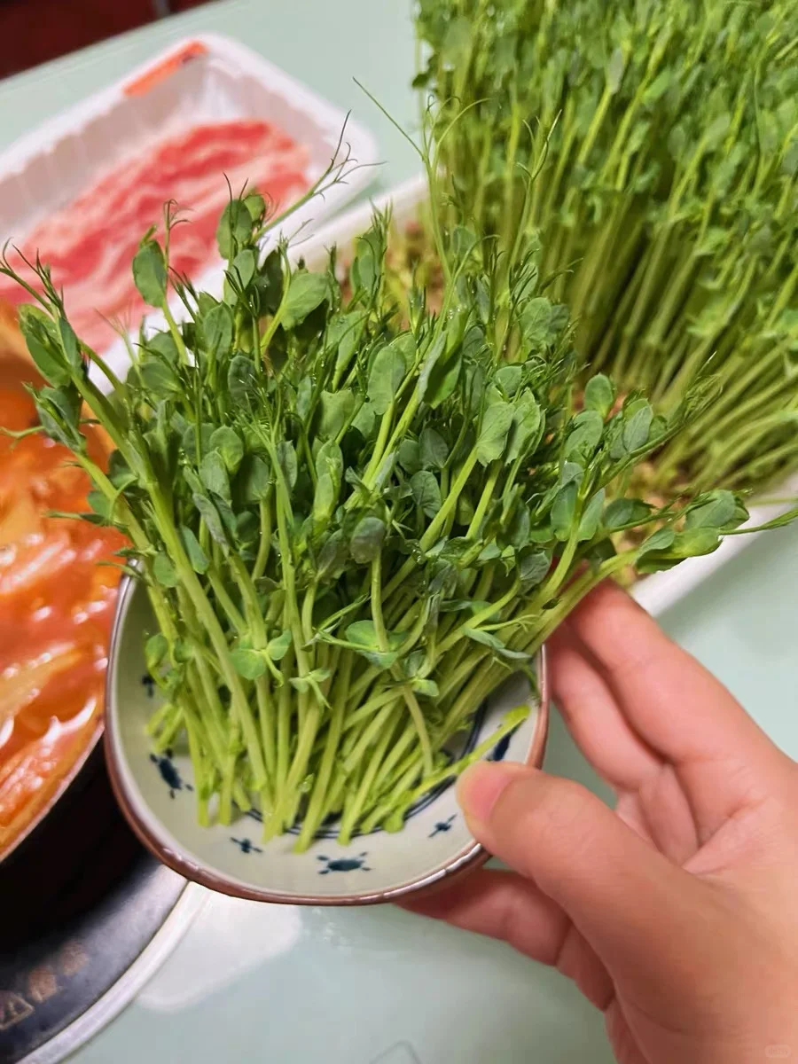 种菜？我连土都不用！