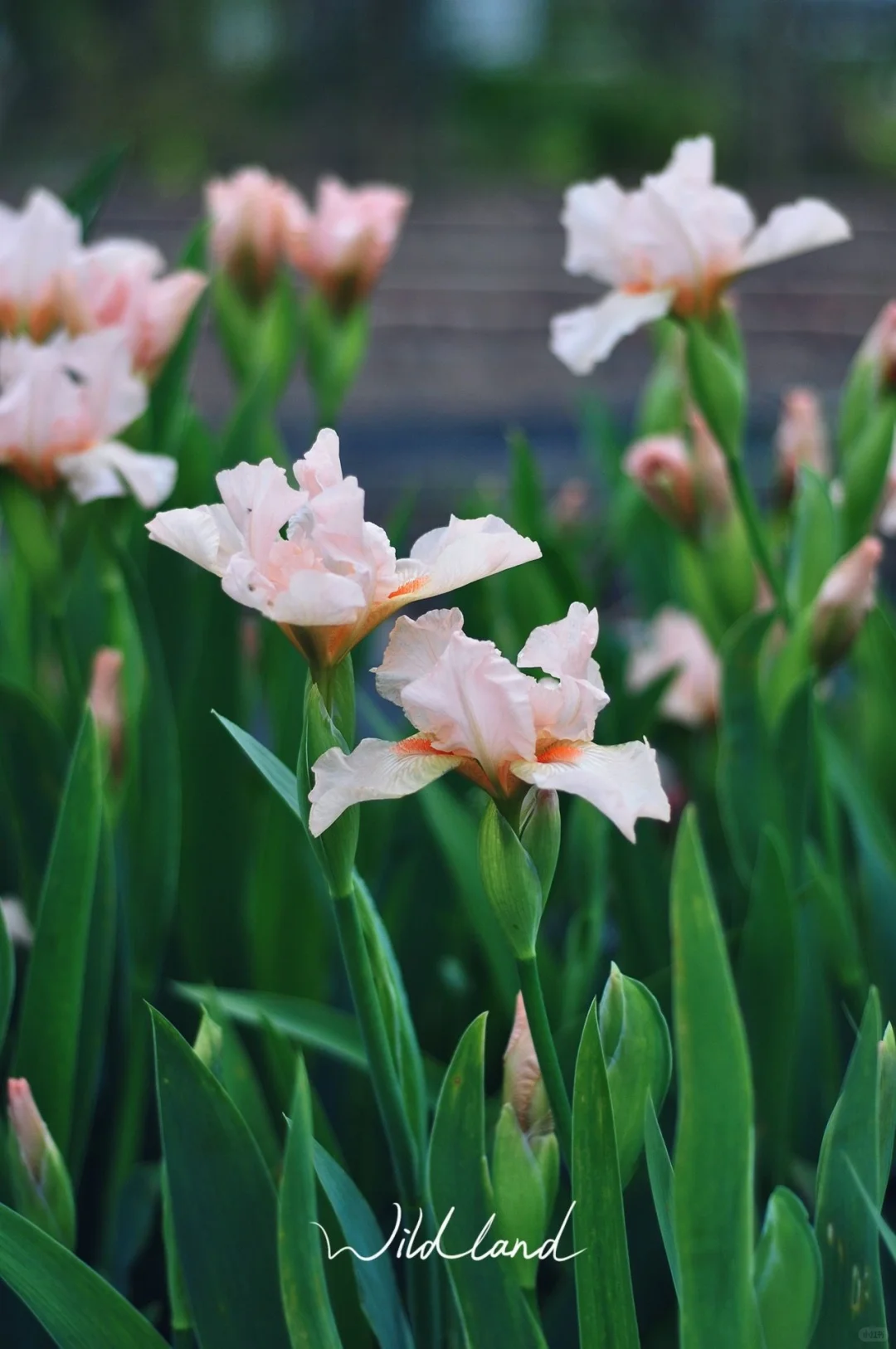 [钱袋R]农场怎么去挣钱？我瞎讲几句