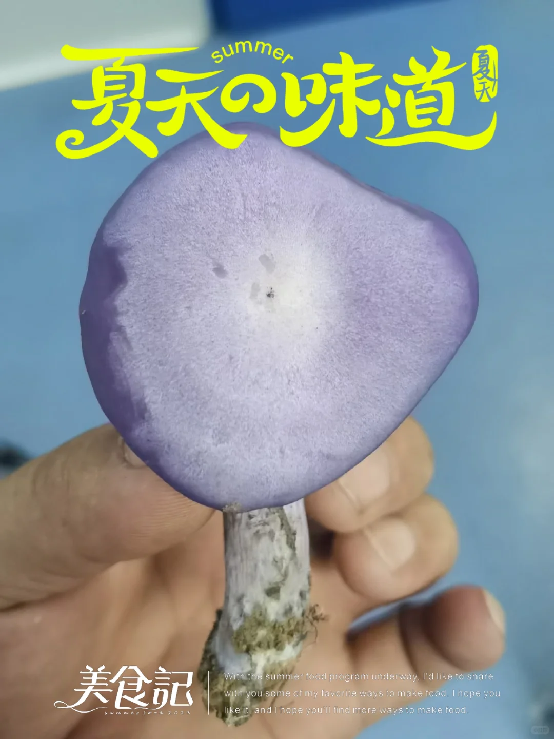 这些年种植菌类的心酸与苦辣,只有其中人懂