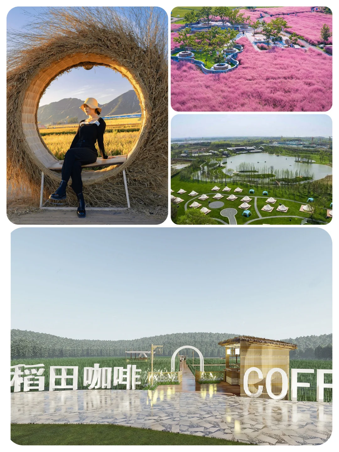 火了很多年的乡村文旅