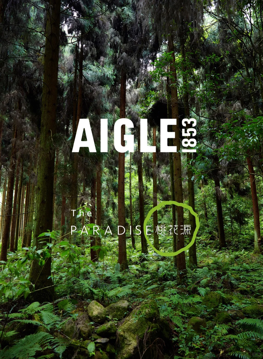 背起这个包，你也是环保合伙人！?