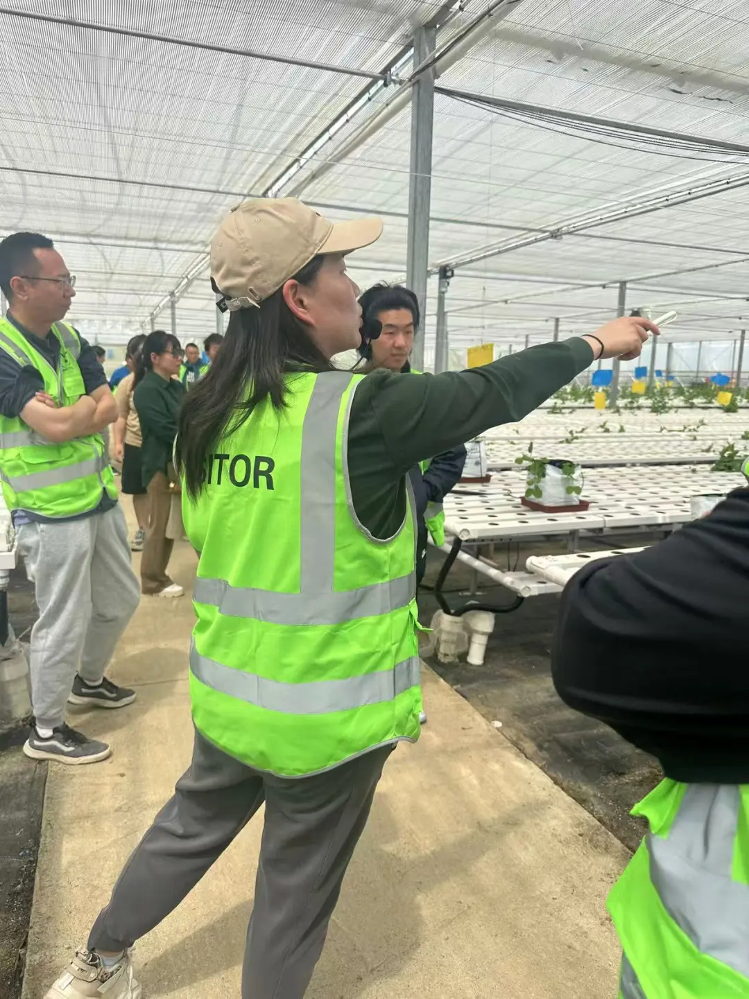 奥克兰周末正确打开方式｜体验蔬菜种植采摘