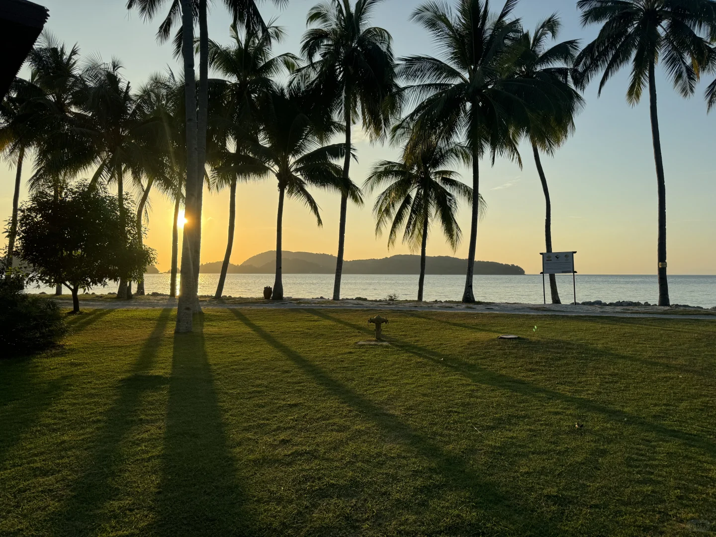 大宗商品里的“国产化替代”