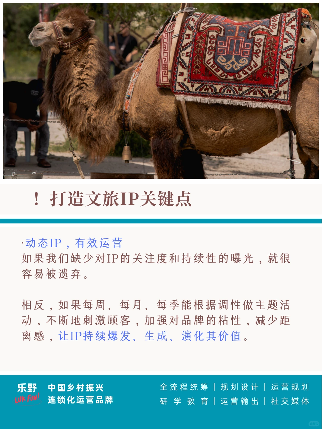 农文旅｜IP力量值得期待。