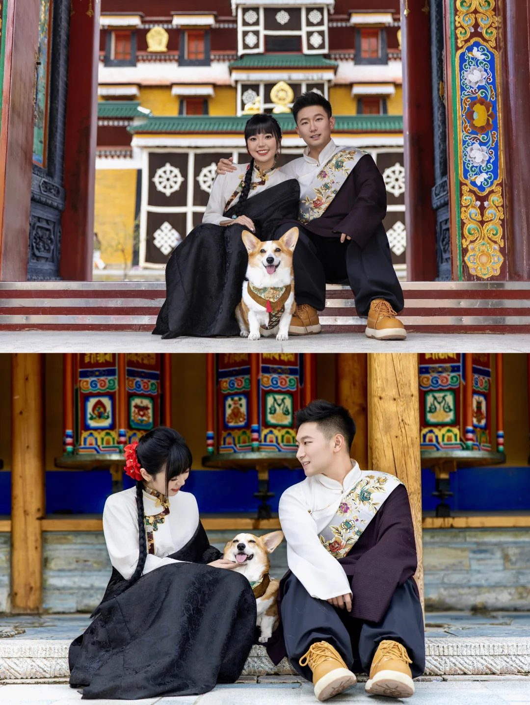 天津出发~带狗自驾甘南-拉卜楞寺