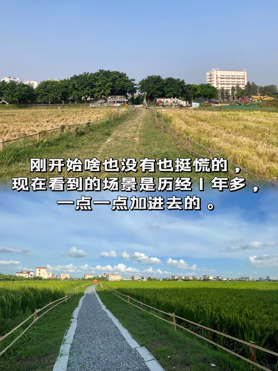 乡村振兴 | 大学生回乡创业做农业文旅