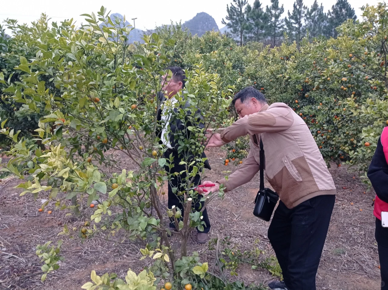 田间课堂-交流经验，精进技术