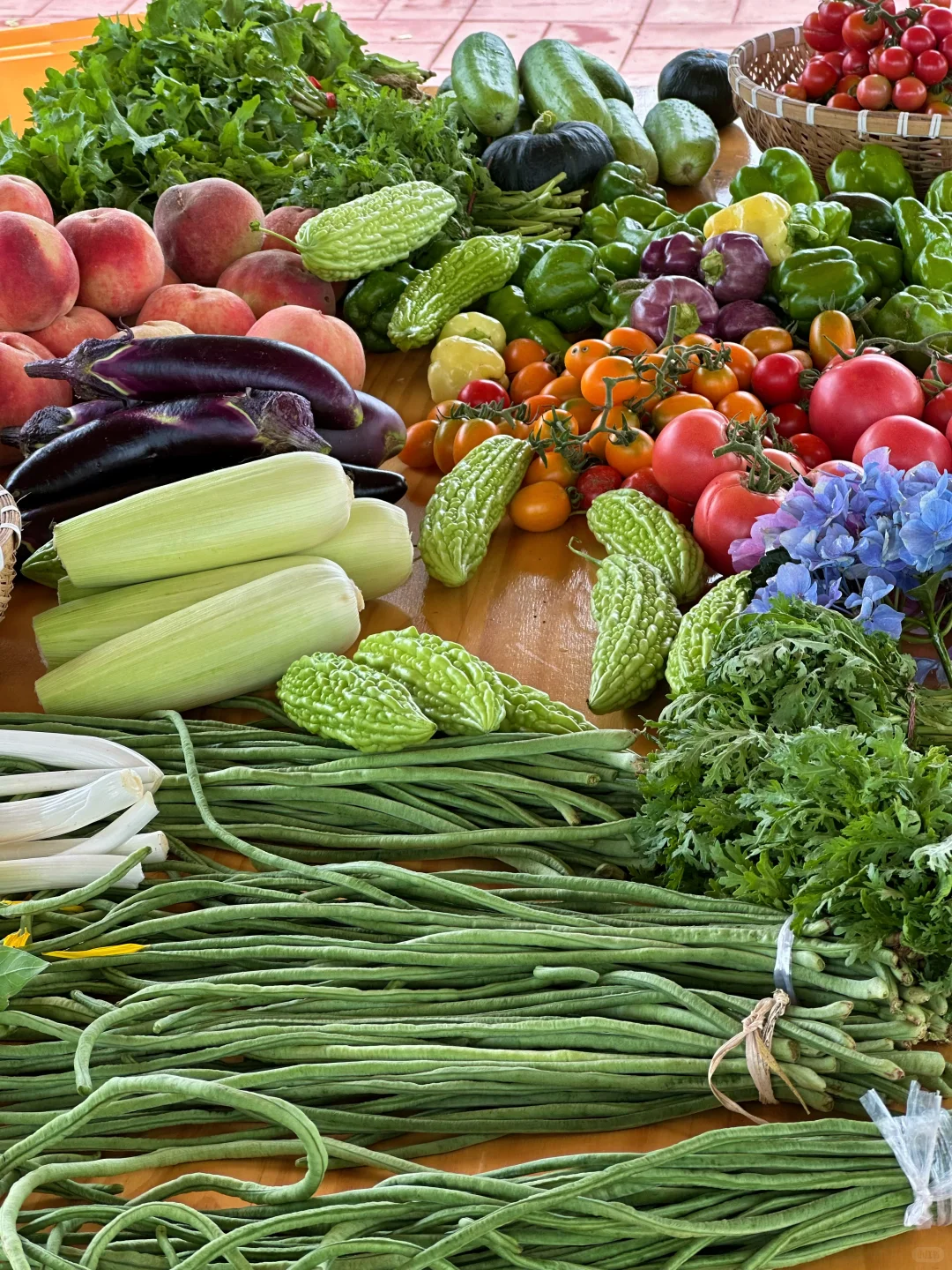 农场生活｜一不小心实现了蔬菜自由！