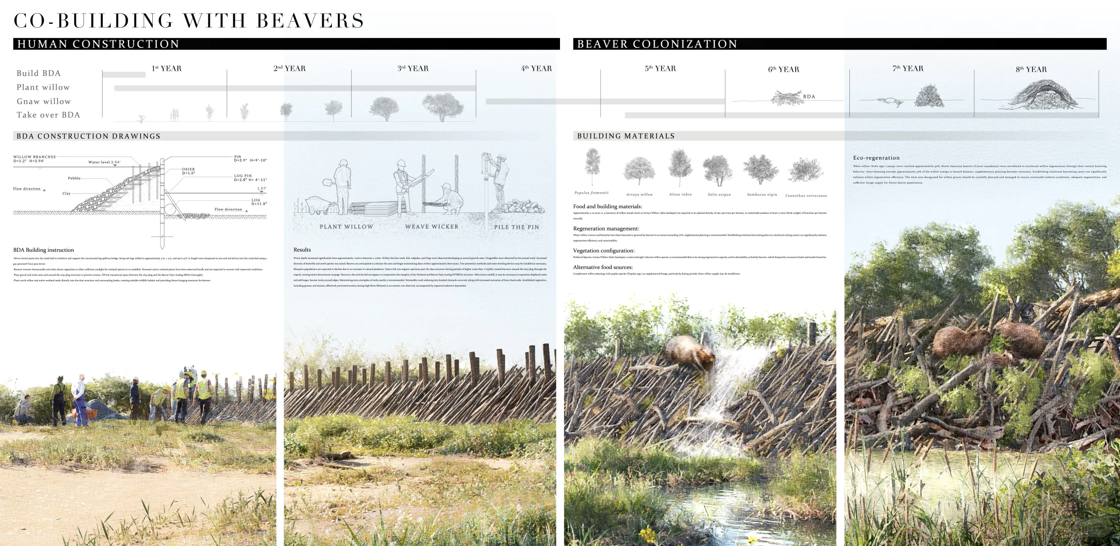 ASLA2025 | 和海狸一起修复地球