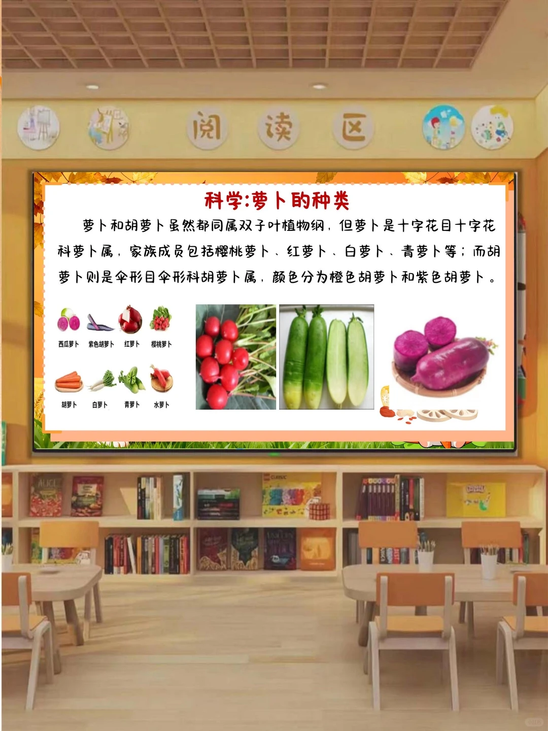 幼儿园班本课程《秋收冬藏，萝卜很忙》含教案