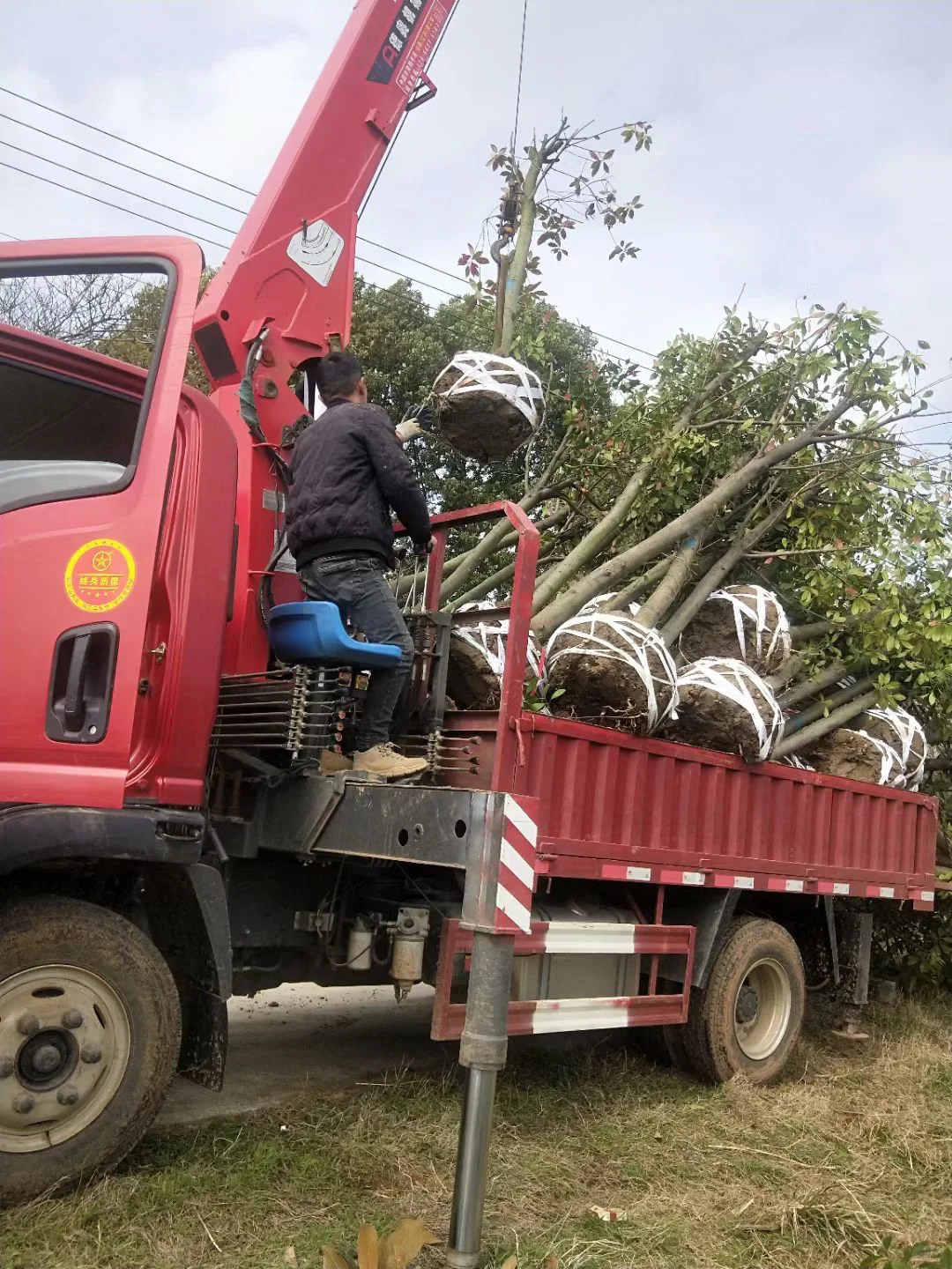 大学生创业 诚心找客户