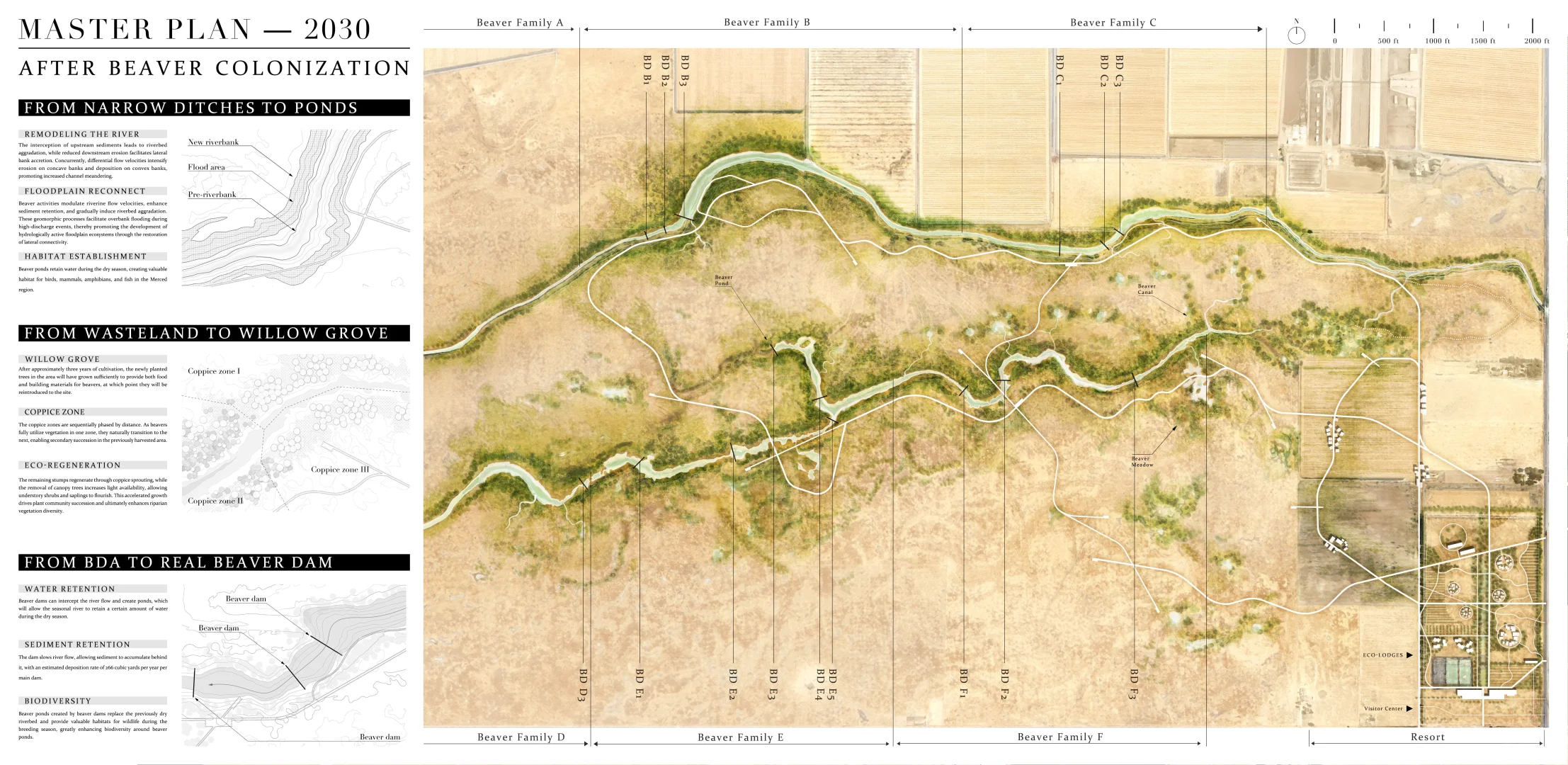 ASLA2025 | 和海狸一起修复地球