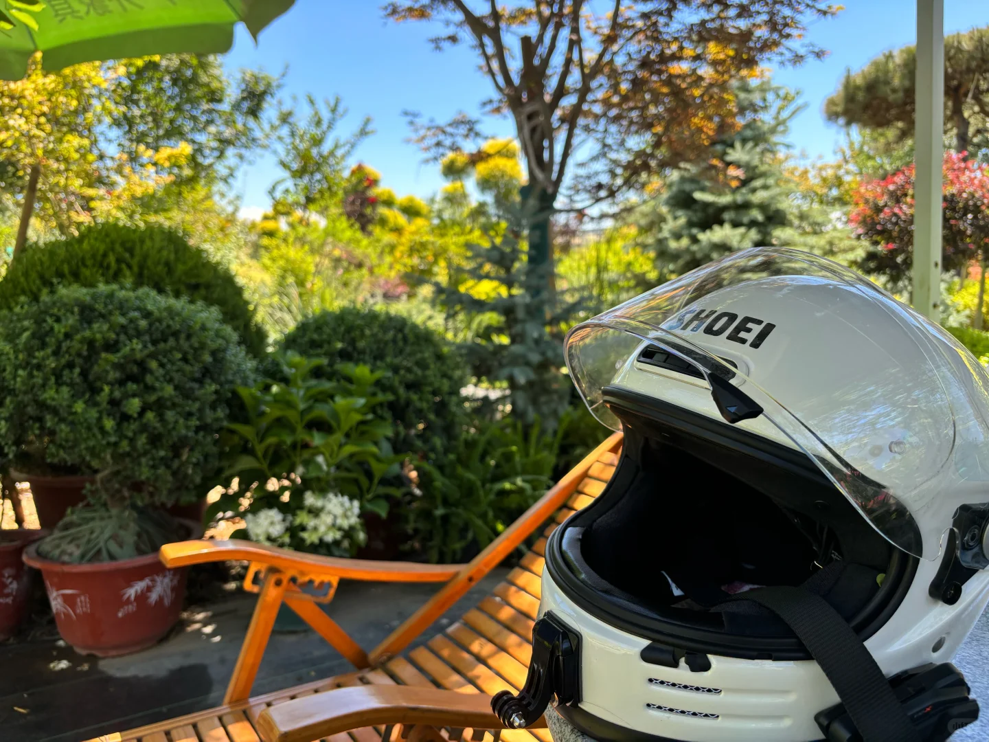 考察|藏在顺义的宝藏植物基地?