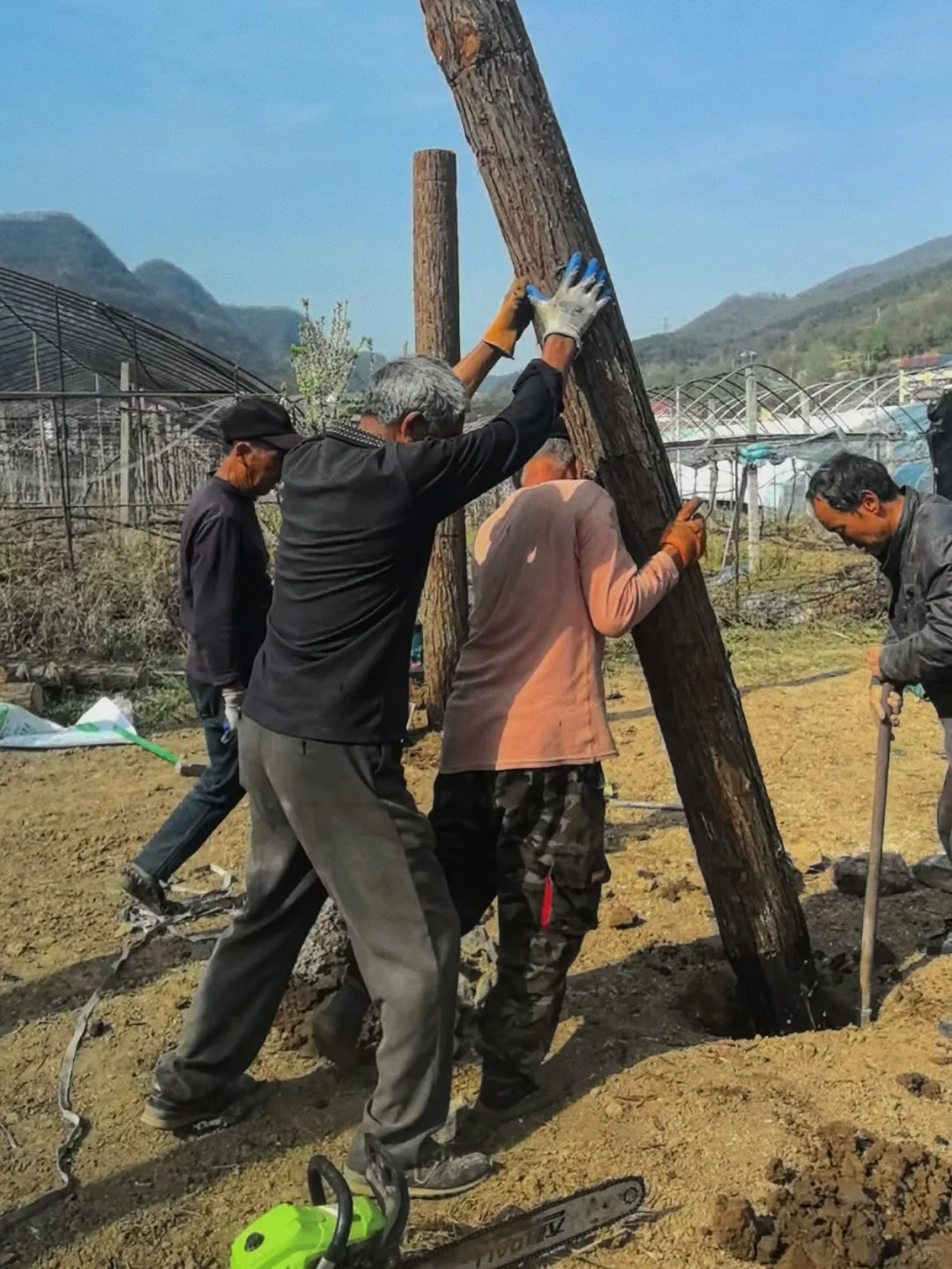 别被网红农场骗了真实的农场创业是这样的