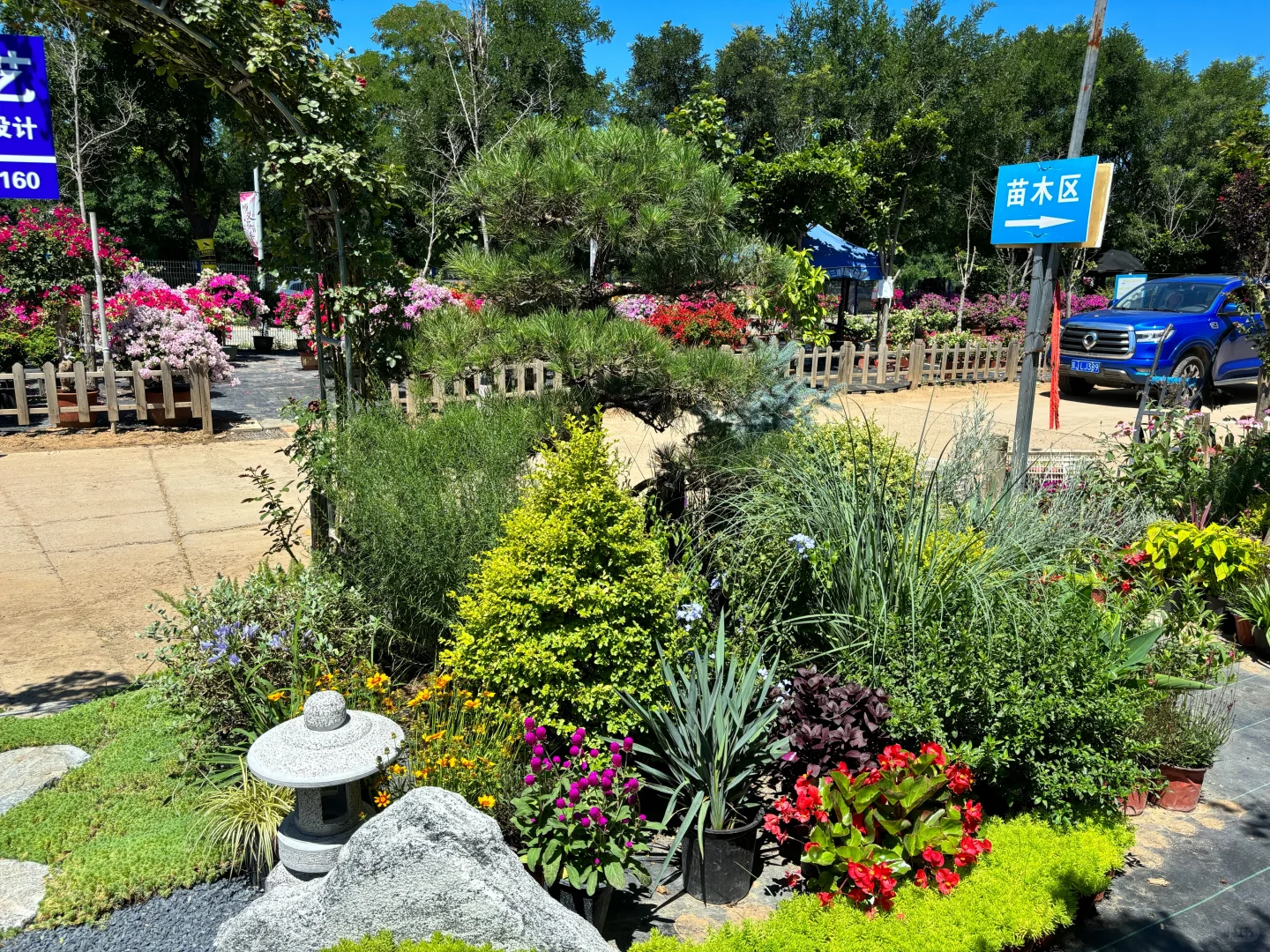 考察|藏在顺义的宝藏植物基地?