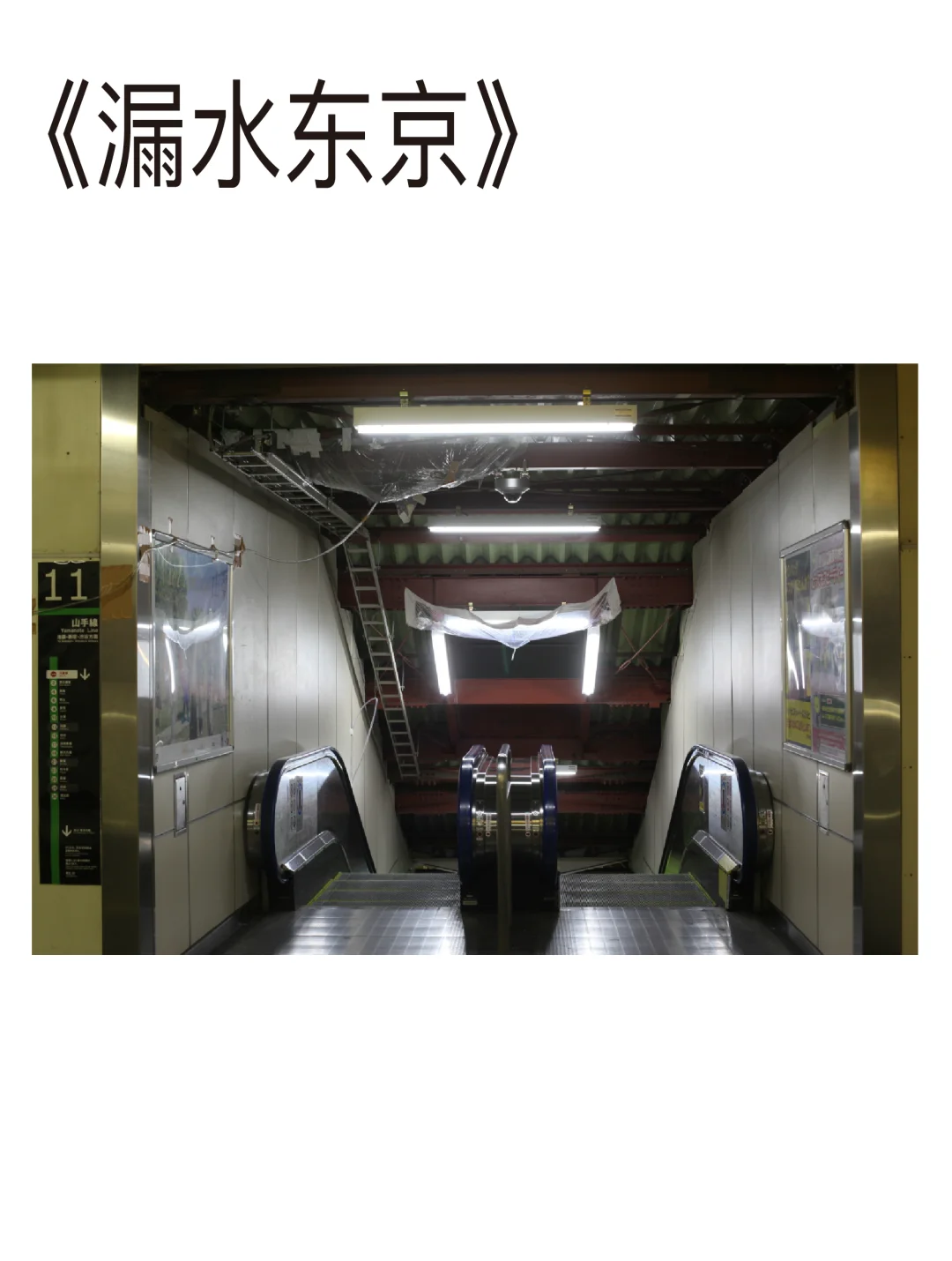 毛利悠子｜?Moré Moré Tokyo