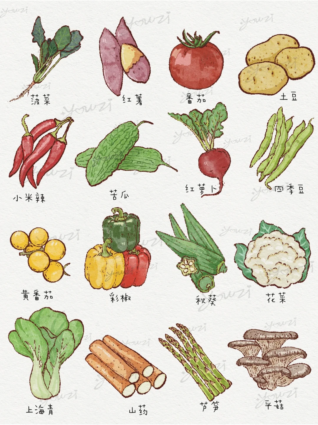 常见64种蔬菜插画大全｜爱吃蔬菜星人???