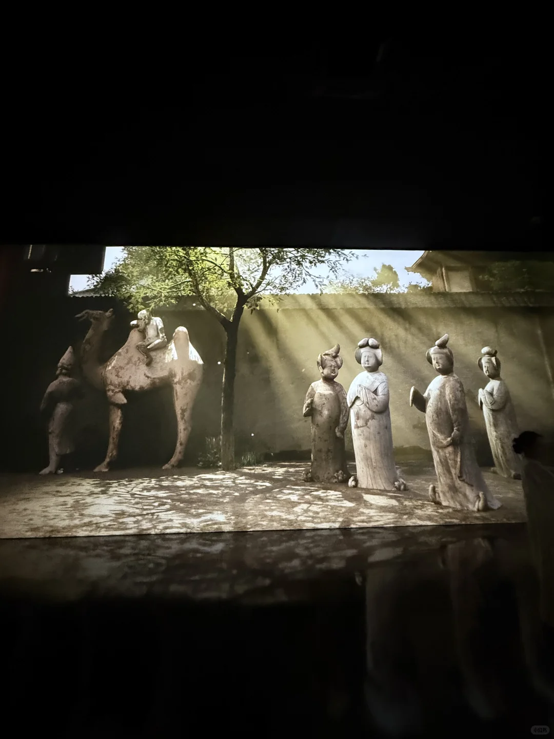 深圳新展！丝路文物“活”着对视千年?