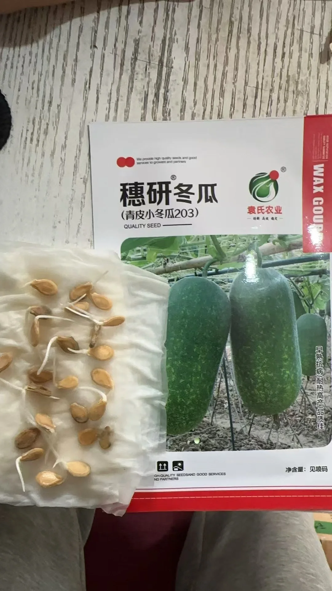 做种子行业，最悲哀的事情还是来了！