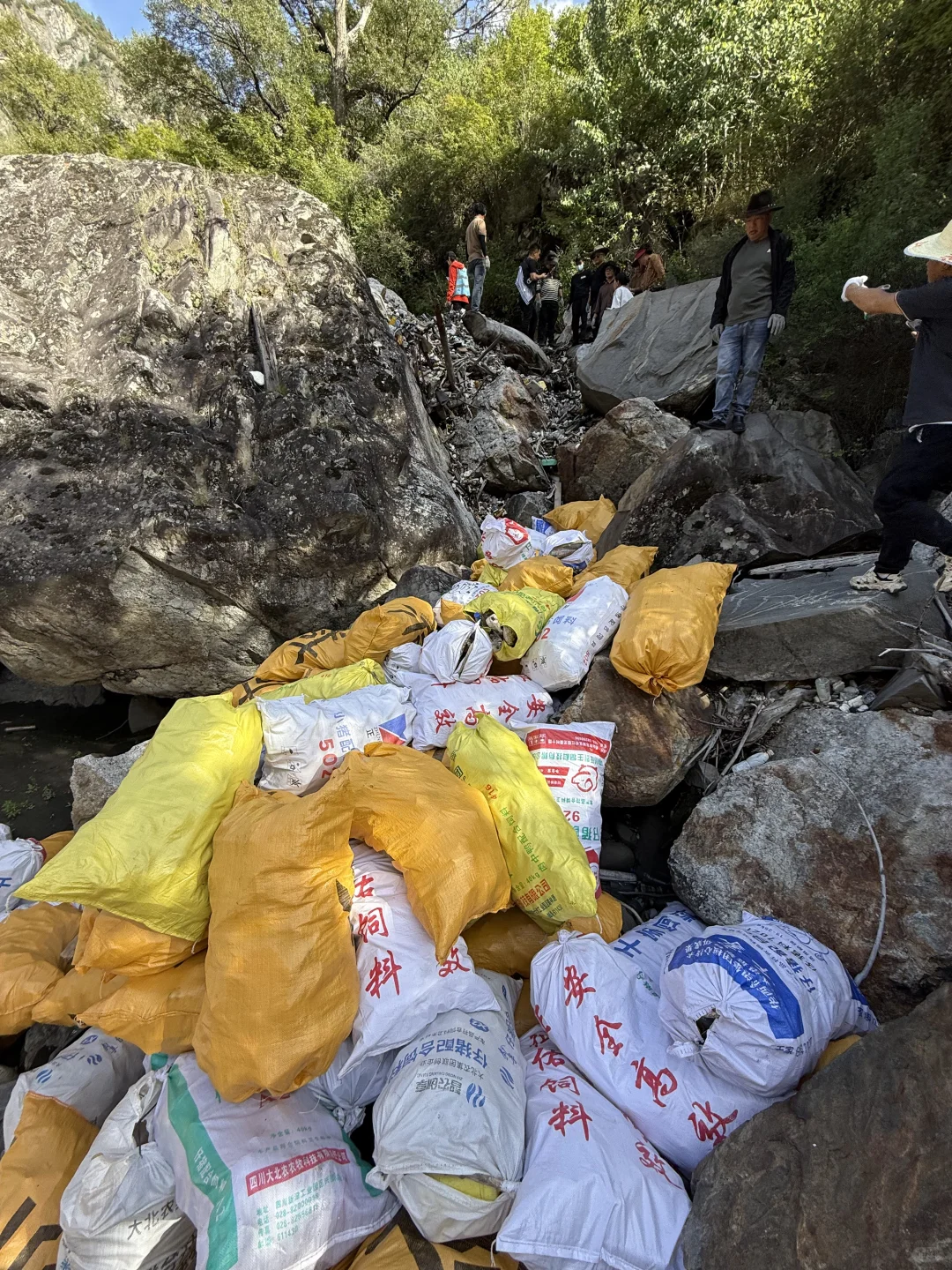 身为一个真环保人 我这辈子都穿不起始祖鸟