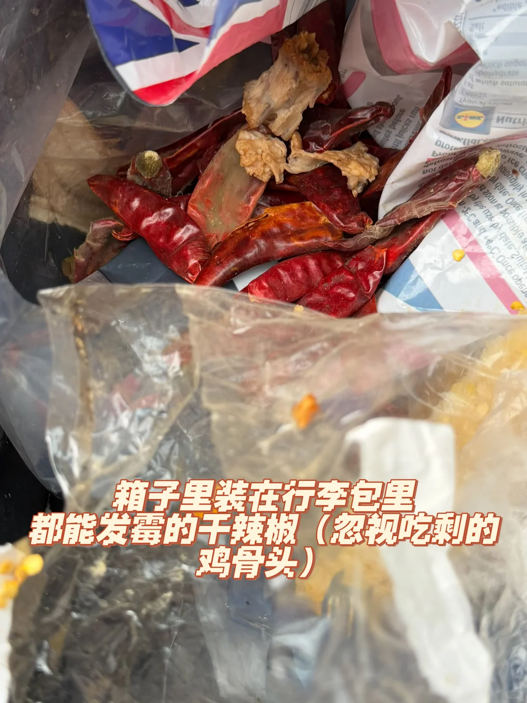 谨慎选择越洋国际水陆路物流?！