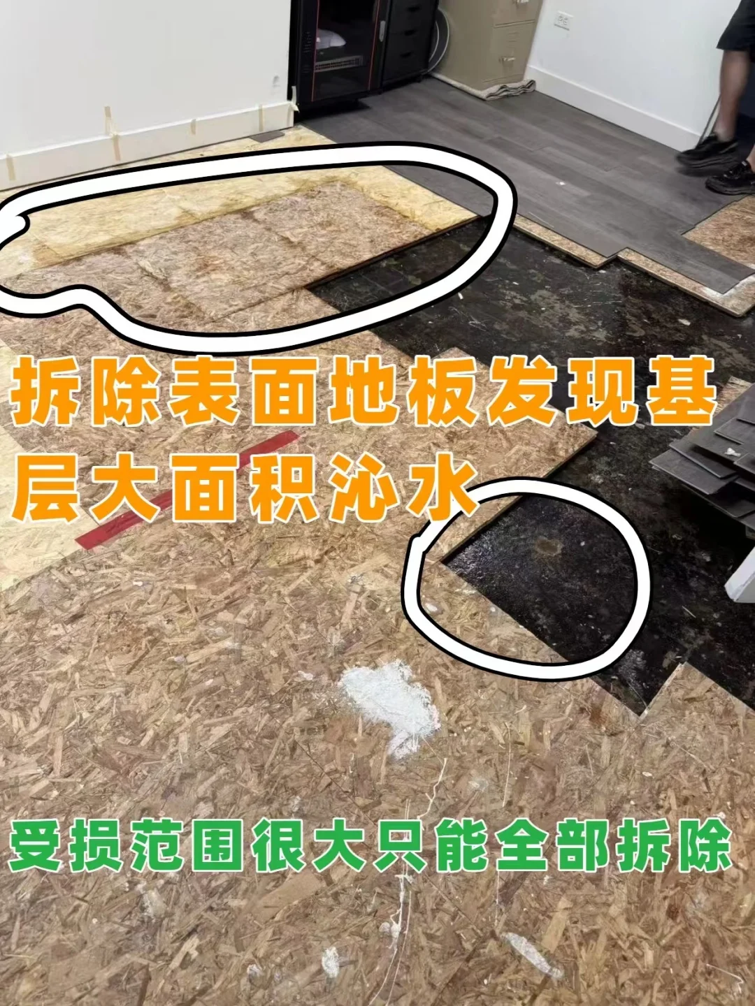 重生记｜地下室变身