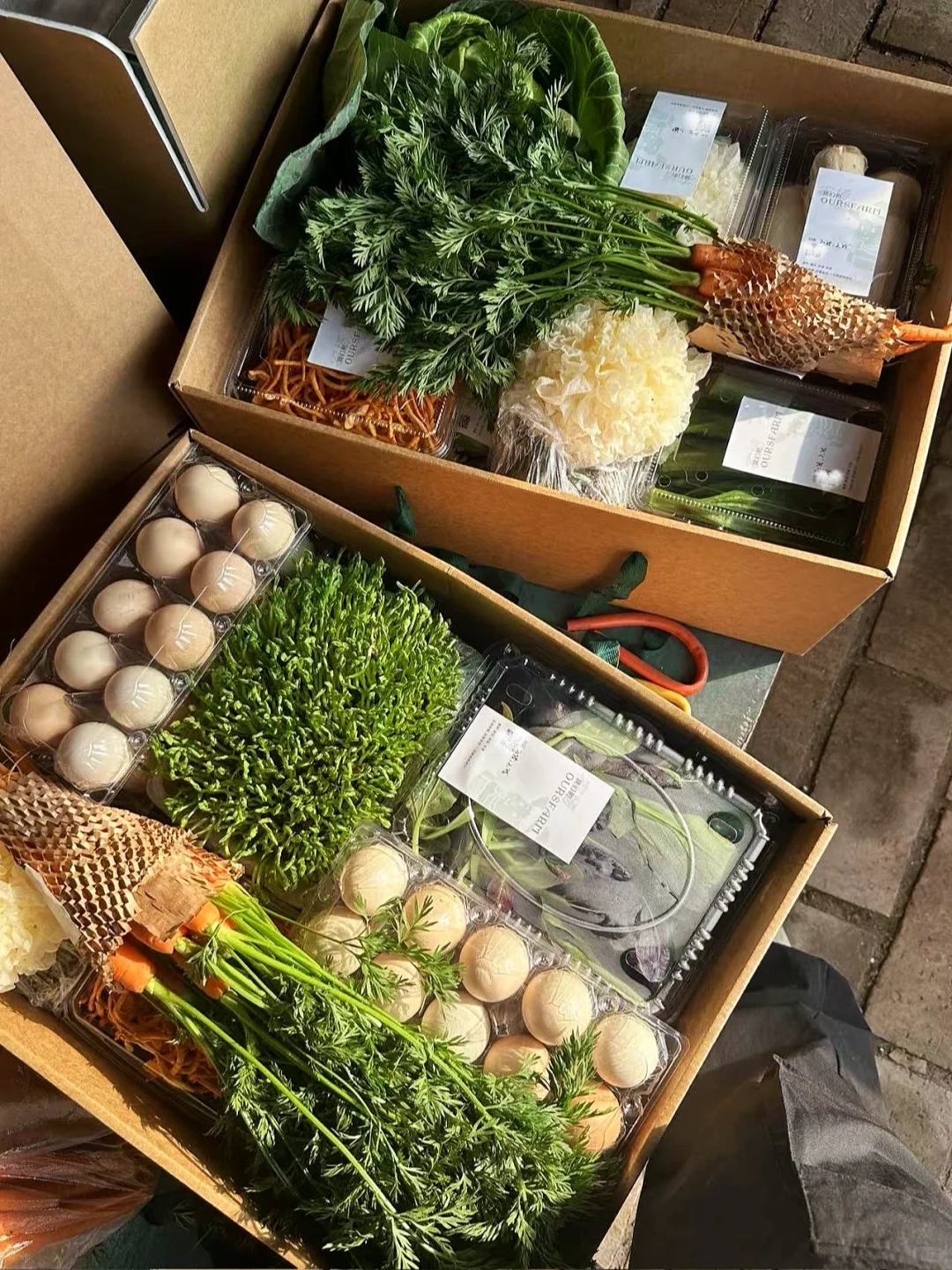 没错，就这箱蔬菜，被领导夸我是送礼小能手的