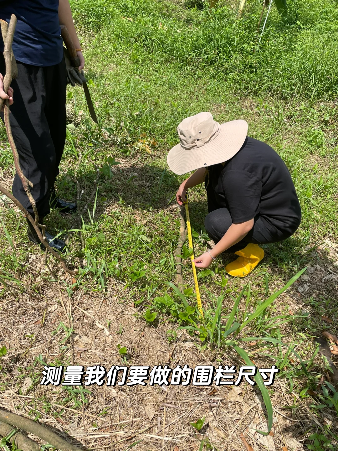 女人真的不能搞农场！