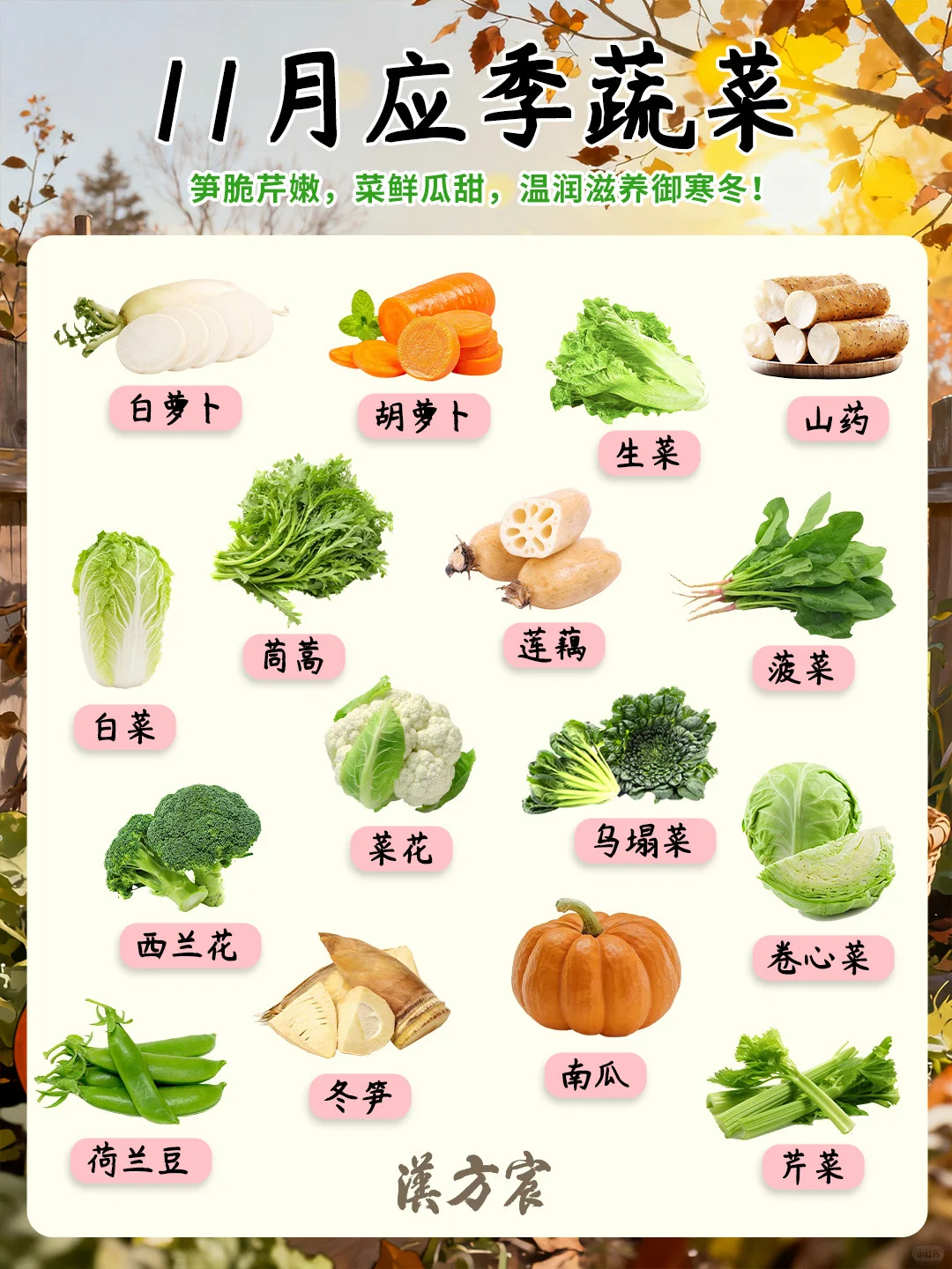 11月吃什么蔬菜?顺时养生?暖身应季菜TOP16